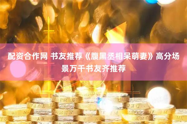 配资合作网 书友推荐《腹黑丞相呆萌妻》高分场景万千书友齐推荐