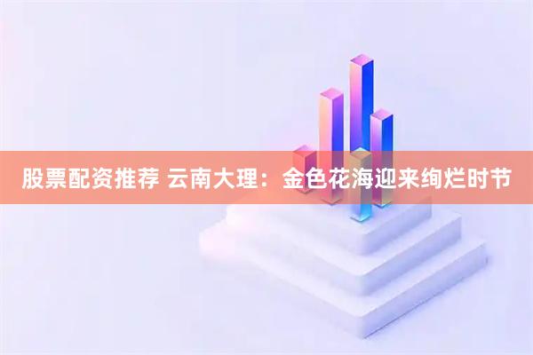 股票配资推荐 云南大理：金色花海迎来绚烂时节