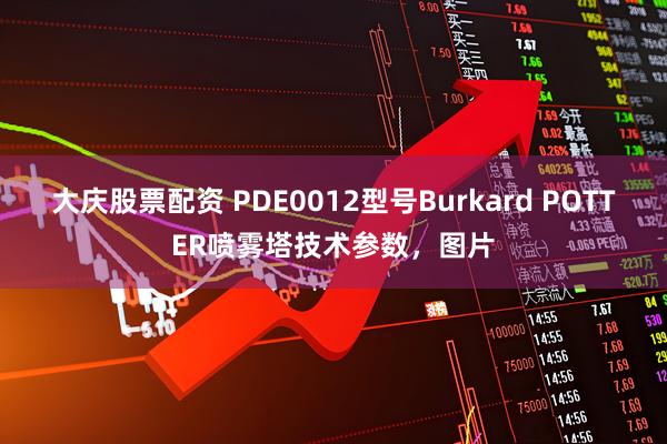 大庆股票配资 PDE0012型号Burkard POTTER喷雾塔技术参数，图片